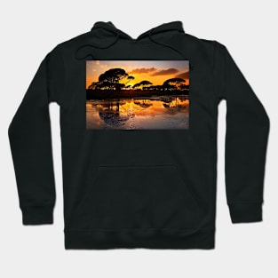 Sunset @ Strofilia forest, Prokopos lake Hoodie